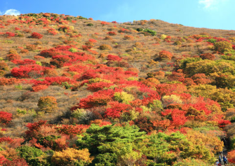 久住連山