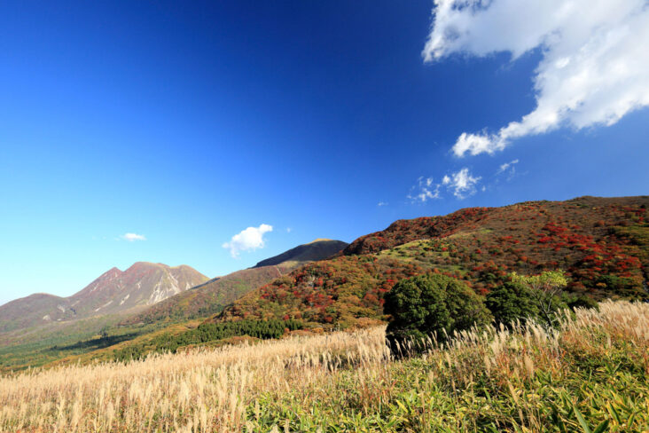 【久住登山&トレッキング応援】朝食&お弁当付きプラン♪