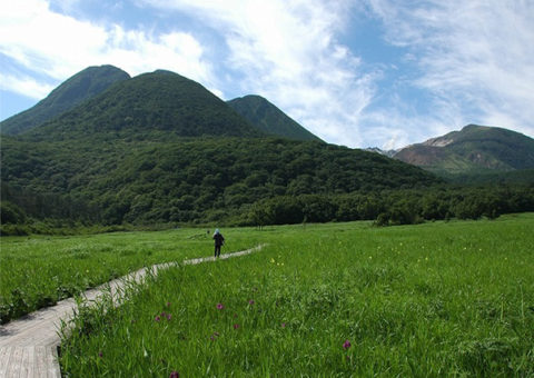 タデ原湿原