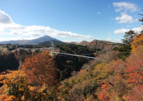 九重“夢”大吊橋