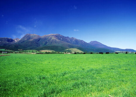 GW販売開始しました